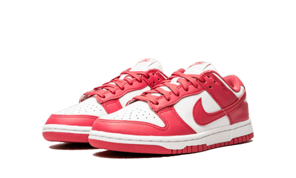 DUNK LOW - imagine 2