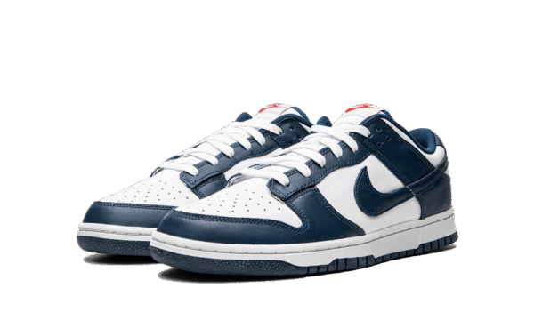 DUNK LOW - imagine 2